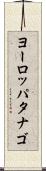 ヨーロッパタナゴ Scroll