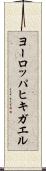 ヨーロッパヒキガエル Scroll
