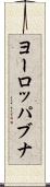 ヨーロッパブナ Scroll