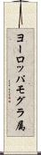 ヨーロッパモグラ属 Scroll