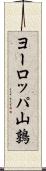 ヨーロッパ山鶉 Scroll