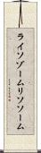 ライソゾーム Scroll