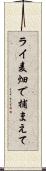 ライ麦畑で捕まえて Scroll