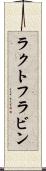 ラクトフラビン Scroll
