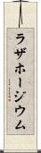 ラザホージウム Scroll