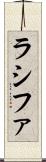 Rashifa Scroll