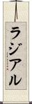 ラジアル Scroll