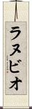 ラヌビオ Scroll