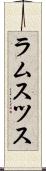 ラムスツス Scroll
