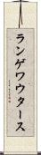 ランゲワウタース Scroll