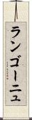 ランゴーニュ Scroll
