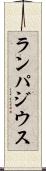 ランパジウス Scroll