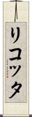 リコッタ Scroll