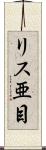 リス亜目 Scroll