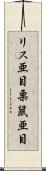リス亜目 Scroll