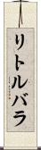 リトルバラ Scroll