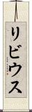 リビウス Scroll