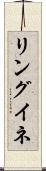 リングイネ Scroll