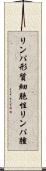リンパ形質細胞性リンパ腫 Scroll