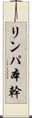 リンパ本幹 Scroll
