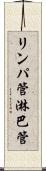リンパ管 Scroll