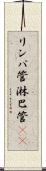 リンパ管 Scroll