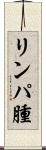 リンパ腫 Scroll