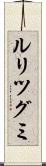 ルリツグミ Scroll