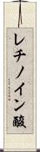 レチノイン酸 Scroll