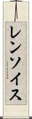 レンソイス Scroll