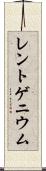 レントゲニウム Scroll