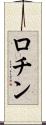 ロチン Scroll