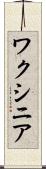 ワクシニア Scroll