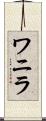 ワニラ Scroll