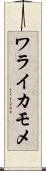 ワライカモメ Scroll