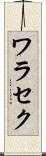 ワラセク Scroll