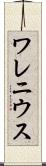 ワレニウス Scroll