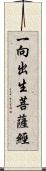 一向出生菩薩經 Scroll