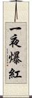 一夜爆紅 Scroll