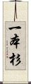 一本杉 Scroll