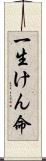 一生けん命 Scroll