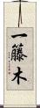 一籐木 Scroll