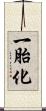 一胎化 Scroll