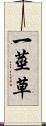 一莖草 Scroll