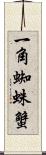 一角蜘蛛蟹 Scroll