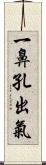 一鼻孔出氣 Scroll