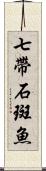 七帶石斑魚 Scroll