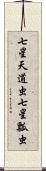 七星天道虫 Scroll