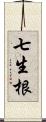 七生根 Scroll