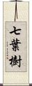 七葉樹 Scroll